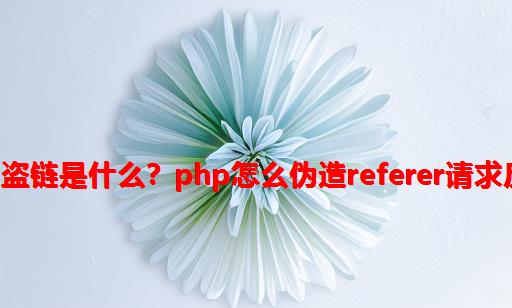 文章抓取显示盗链 php,盗链是什么？php怎么伪造Referer请求反盗链资源（附示例）...